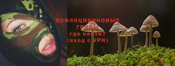 прущие грибы Алзамай
