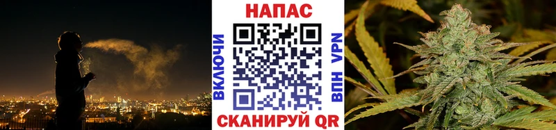 Канабис SATIVA & INDICA  Тогучин 